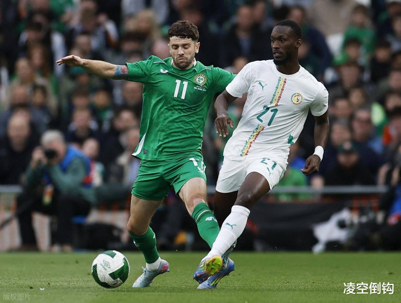 爱尔兰队晋级下一轮，成功取胜